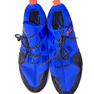 Nike Sz. 10 Royal Blue Sneakers